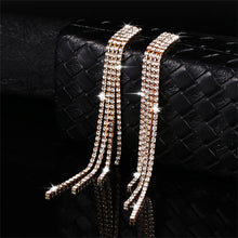Load image into Gallery viewer, Fashion Rhinestone Crystal Ear Studs